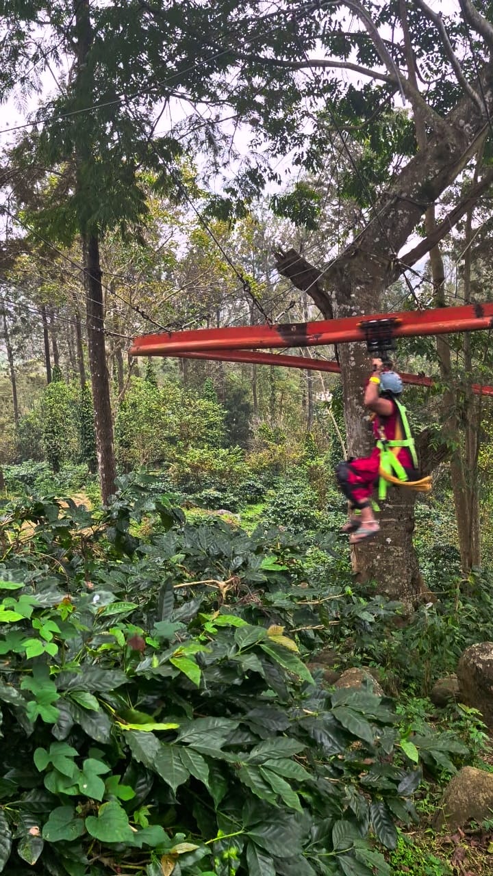 Roller Coaster Zip Line